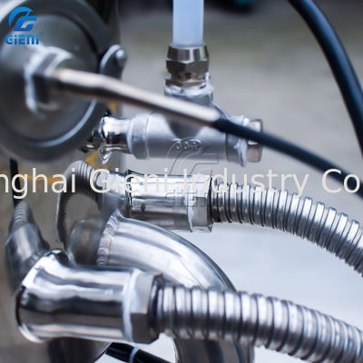 기계 손 매뉴얼 타입 금속 몰드를 퍼붓는 20L 녹는 교반 탱크 립스틱